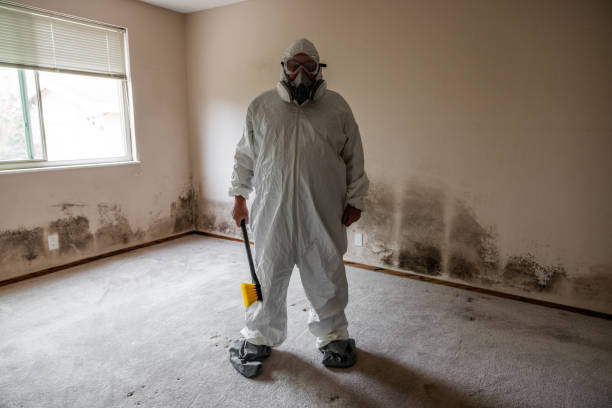 Best Industrial Mold Remediation in Riverside, OH